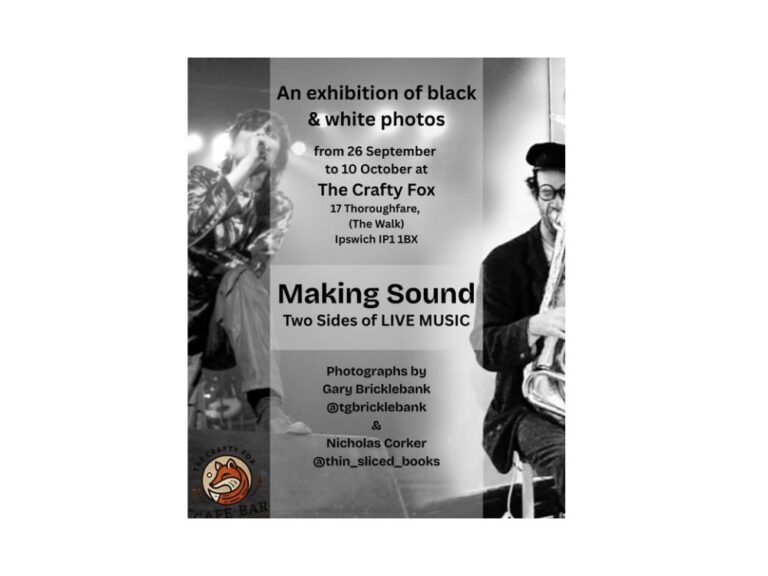 An exhibition of Black and White Photos – Making Sound, two sides of live music