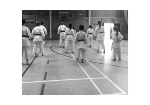Northgate & Associated Karate Clubs – Sunday Juniors and Adults