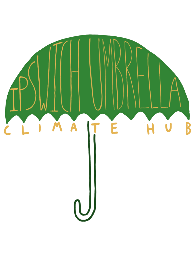 Ipswich Umbrella – Street Stall – in the Butter Market