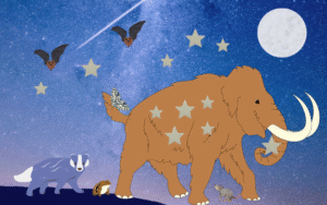 Woolly’s Nighttime Trail