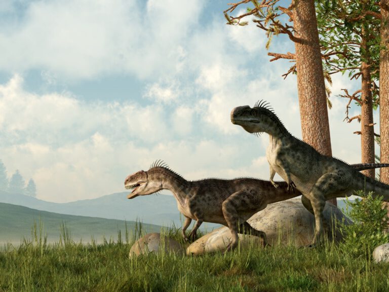 A Jurassic Experience