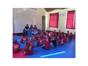 Northgate & Associated Karate Clubs – Sunday Red Dragons