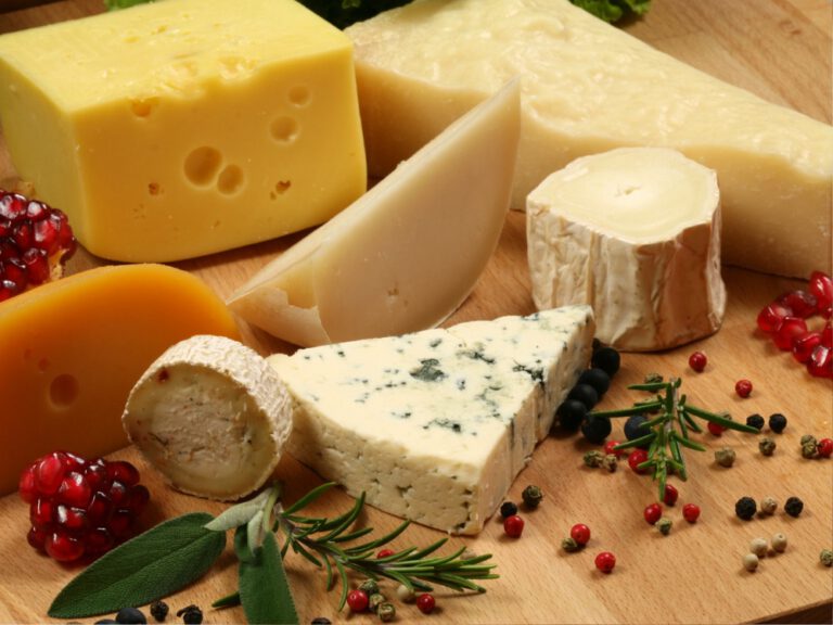 Cheese and Wine Experience