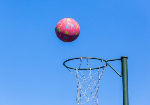 Teacher’s Pets Netball Club – Juniors – U11’s