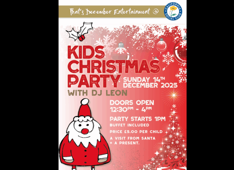 Kids Christmas Party
