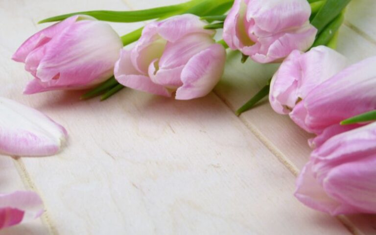 Mother’s Day Sunday Lunch, Sunday 15th March 2026