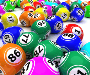 Family Fun Bingo Night