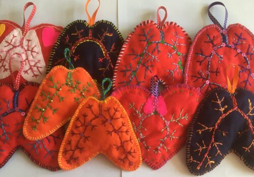 Craftivists