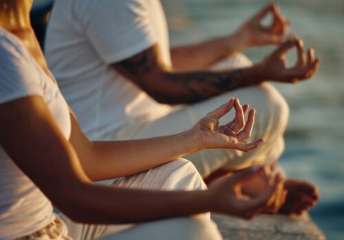 Learn to Meditate – Free Meditation & Yoga