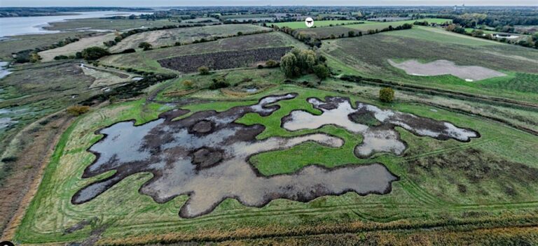 Martlesham Wilds – Two years on