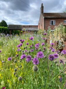 Chantry Walled Garden Spring Plant Fair