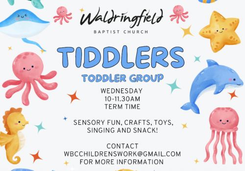 Tiddlers (babies and toddlers)