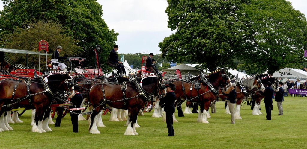Suffolk Show… incoming! - Ipswich.love