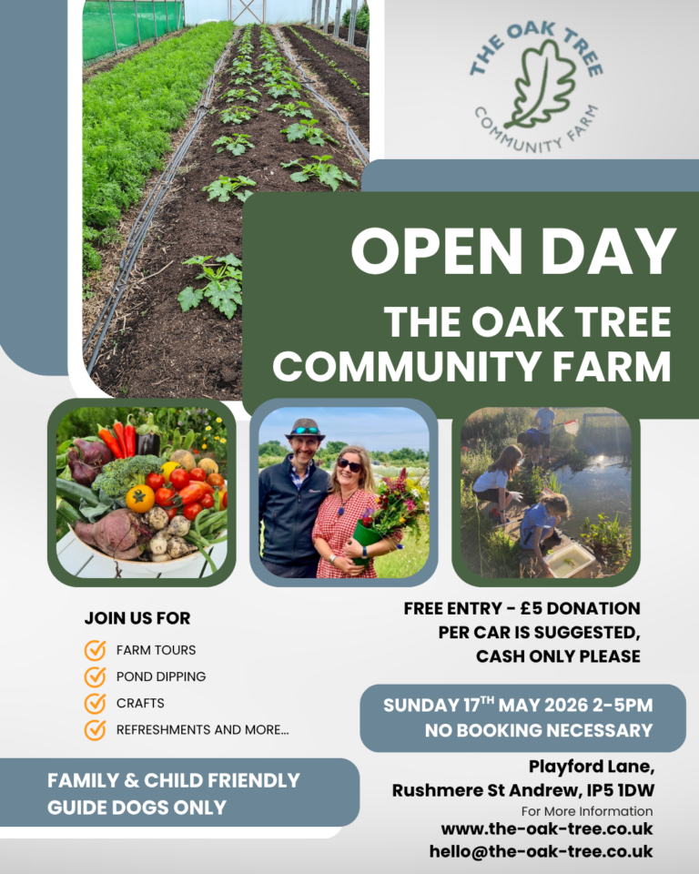 Oak Tree Community Farm Open Day
