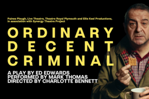 Ordinary Decent Criminal