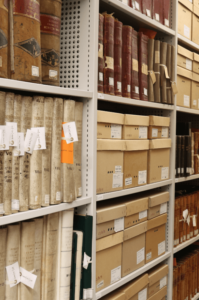 Behind The Scenes Tour and Conservation Studio Visit