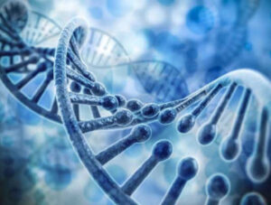 Pint of Science – Living Systems: From Stem Cells to Sea Turtles
