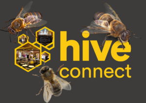 Hive Connect – Business Networking within the logistics industry
