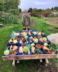 Person pulling a trolley laden with lots of vegetable boxes
