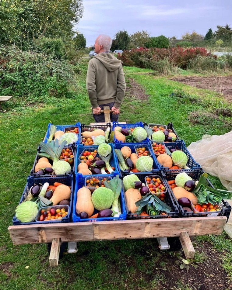 Have you Heard of Community Farming?